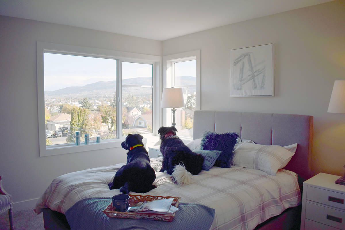 WATCH Vernon townhomes are ‘truly’ pet friendly Vernon Morning Star