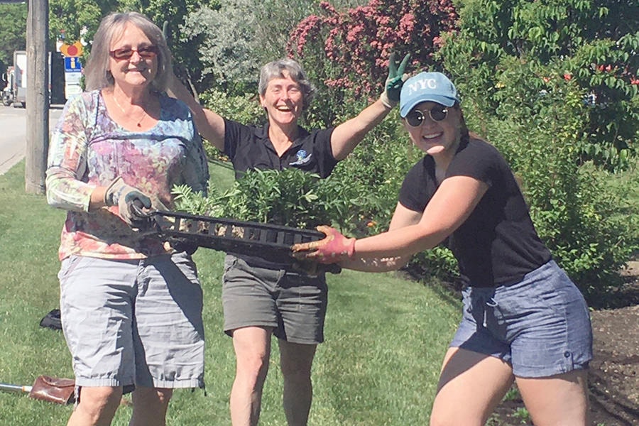 Volunteer Patti Ferguson (left) joins Armstrong Spallumcheen Chamber of Commerce staffers Carol Hill-Lonergan (centre) and Jenna Churchill for the annual planting of marigolds along the City of Armstrong’s Marigold Mile along Pleasant Valley Road. (Chamber photo)