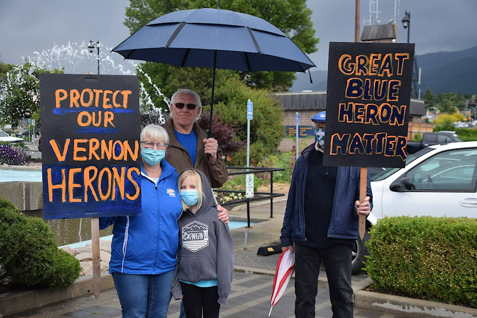 Nearly 100 people turned out to Vernon City Hall in support of protecting heron habitat from development disruption. (Caitlin Clow - Vernon Morning Star)