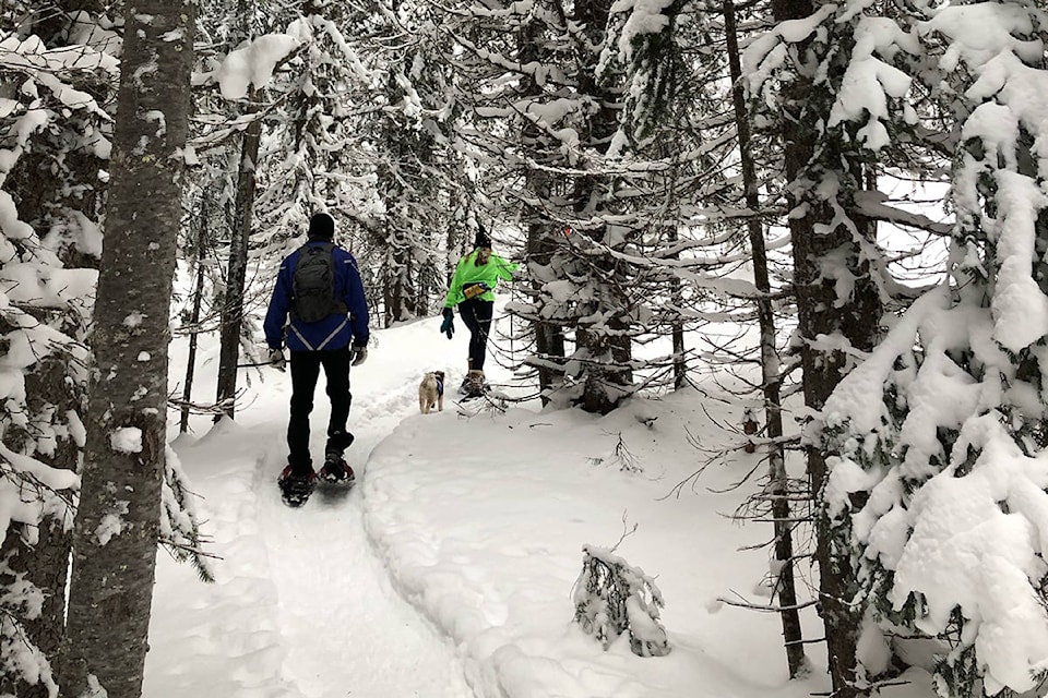 23872879_web1_210114-VMS-ribbons-green-snowshoe-SNOWSHOE_1