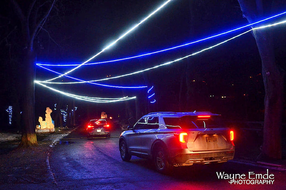 The Drive-Thru Ice Park has been a hit among many residents, despite some complaining about having to pay to take in the ice sculptures. (Wayne Emde Photography)