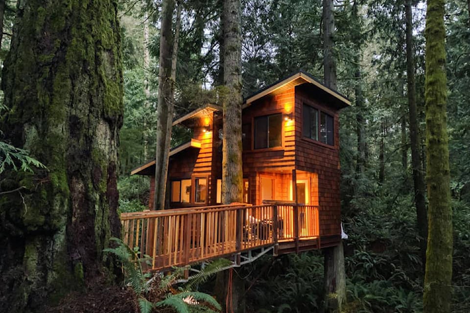 Local carpenter Tyler Bohn embarked on a quest to create the East Sooke Treehouse, after seeing people build similar structures on a Discovery Channel show. (East Sooke Treehouse Facebook photo)