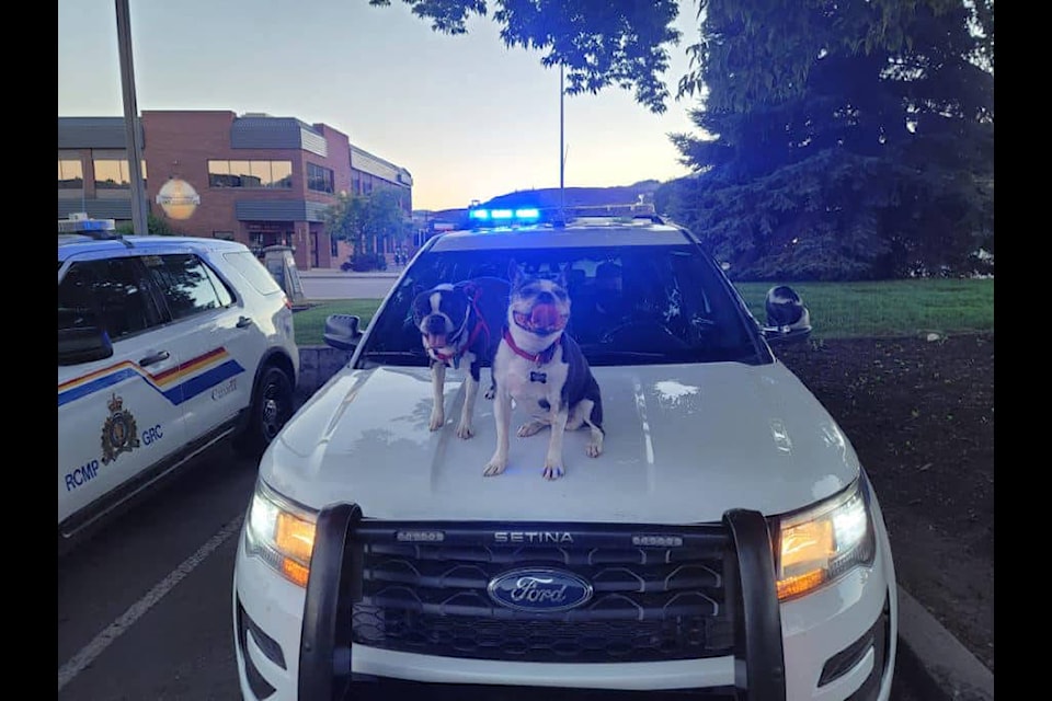 Vernon North Okanagan RCMP bring their pups to work to mark the unofficial national holiday that lands on the first Friday after Father’s Day, June 25, 2021. (Facebook)