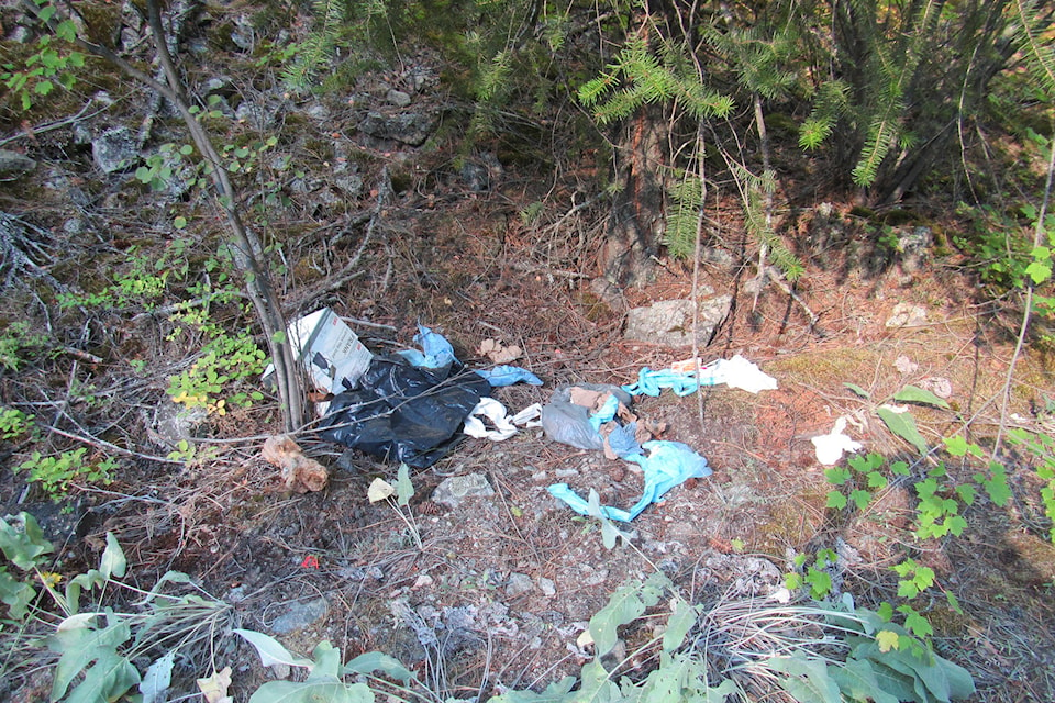 Max Lake Road attracts illegal dumping, torched vehicles and other dangerous activity. (Bruce Turnbull/Contributed)