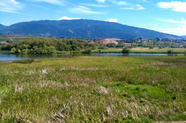 26351923_web1_210902-VMS-COLUMN-getoutdoors-swanlake_2