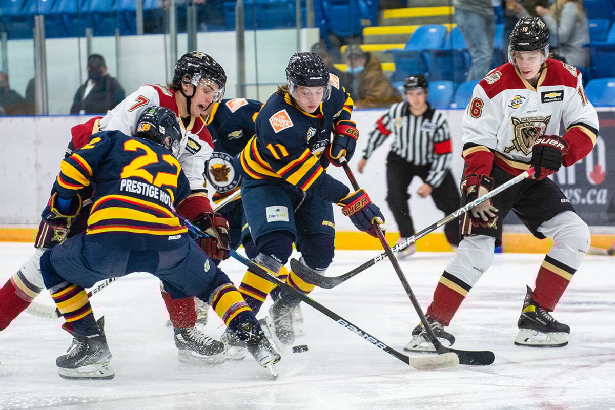 Next Generation: Salmon Arm Silverbacks