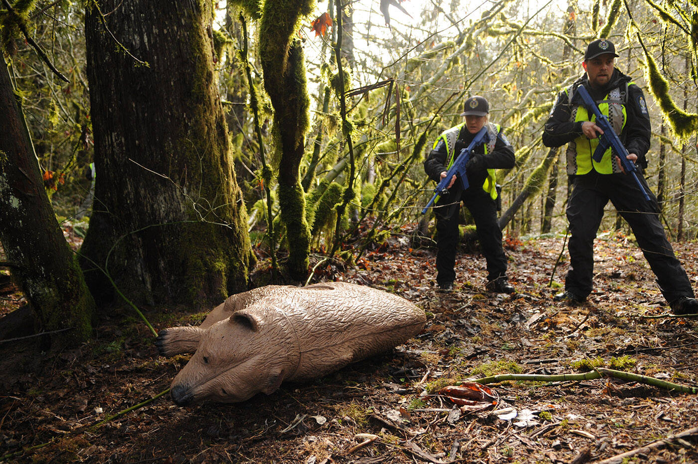 Decoys like this juvenile grizzly bear are used in the wildlife attack training scenarios for the conservation officers. (Jenna Hauck/ Chilliwack Progress)