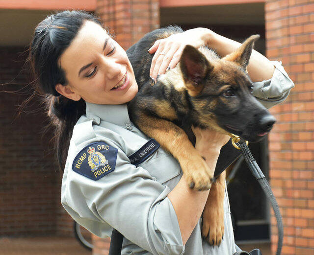 Const. Britteny George with four-month-old Libby, while she was in training (Neil Corbett/THE NEWS)