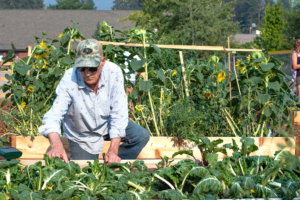 The Pleasant Valley Community Garden is a great option to grow your own tasty and nutritious food. (Debbie Hartwig photo)