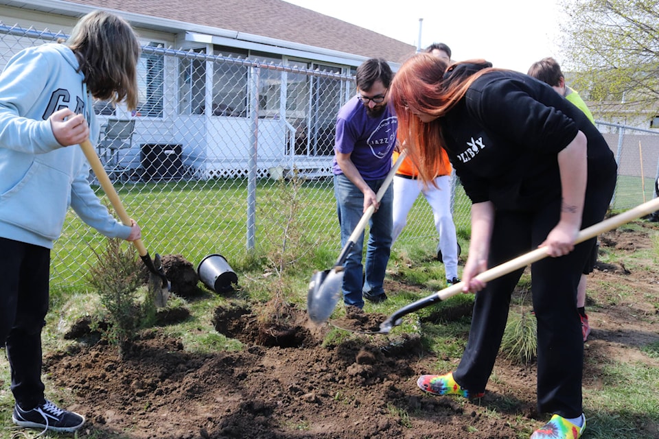 Students at A.L. Fortune Secondary School in Enderby planted 75 trees in honour of Earth Day on April 22, 2022. (Brendan Shykora - Morning Star)