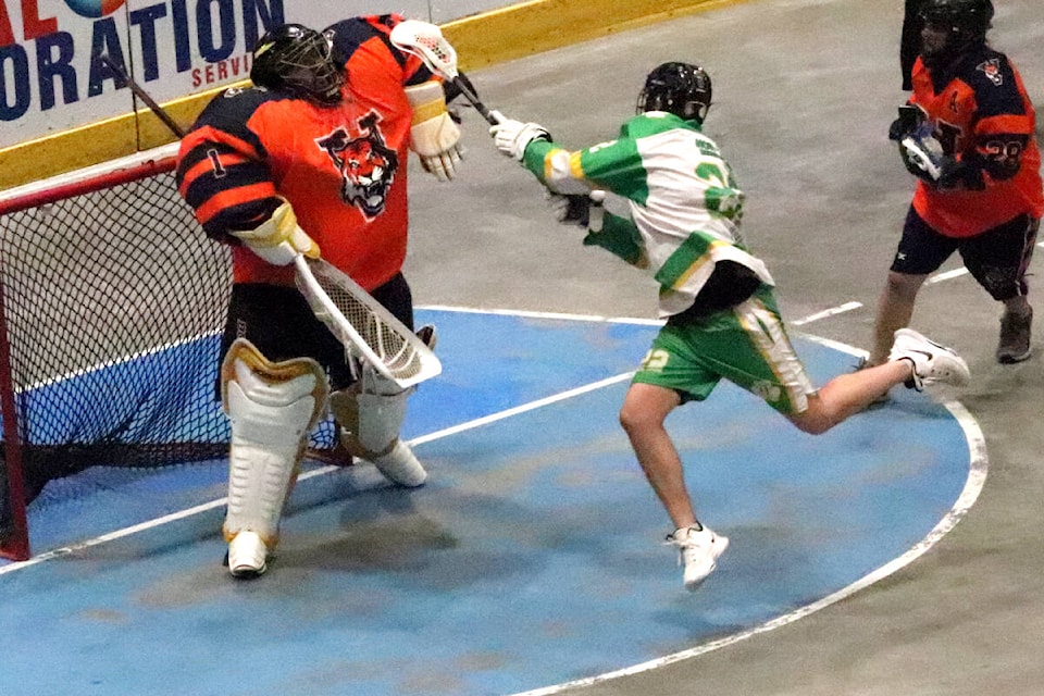Vernon Tigers netminder Stu Ford makes a save in-close on Armstrong’s Kyle Versteeg during the Shamrocks’ 17-4 romp over the home team in Thompson Okanagan Senior Lacrosse League action Thursday, June 2, at Kal Tire Place. (Roger Knox - Morning Star)