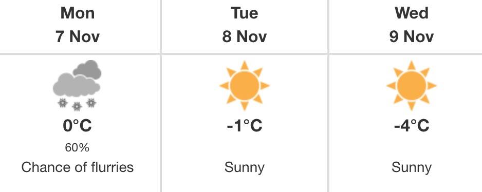 salmon arm