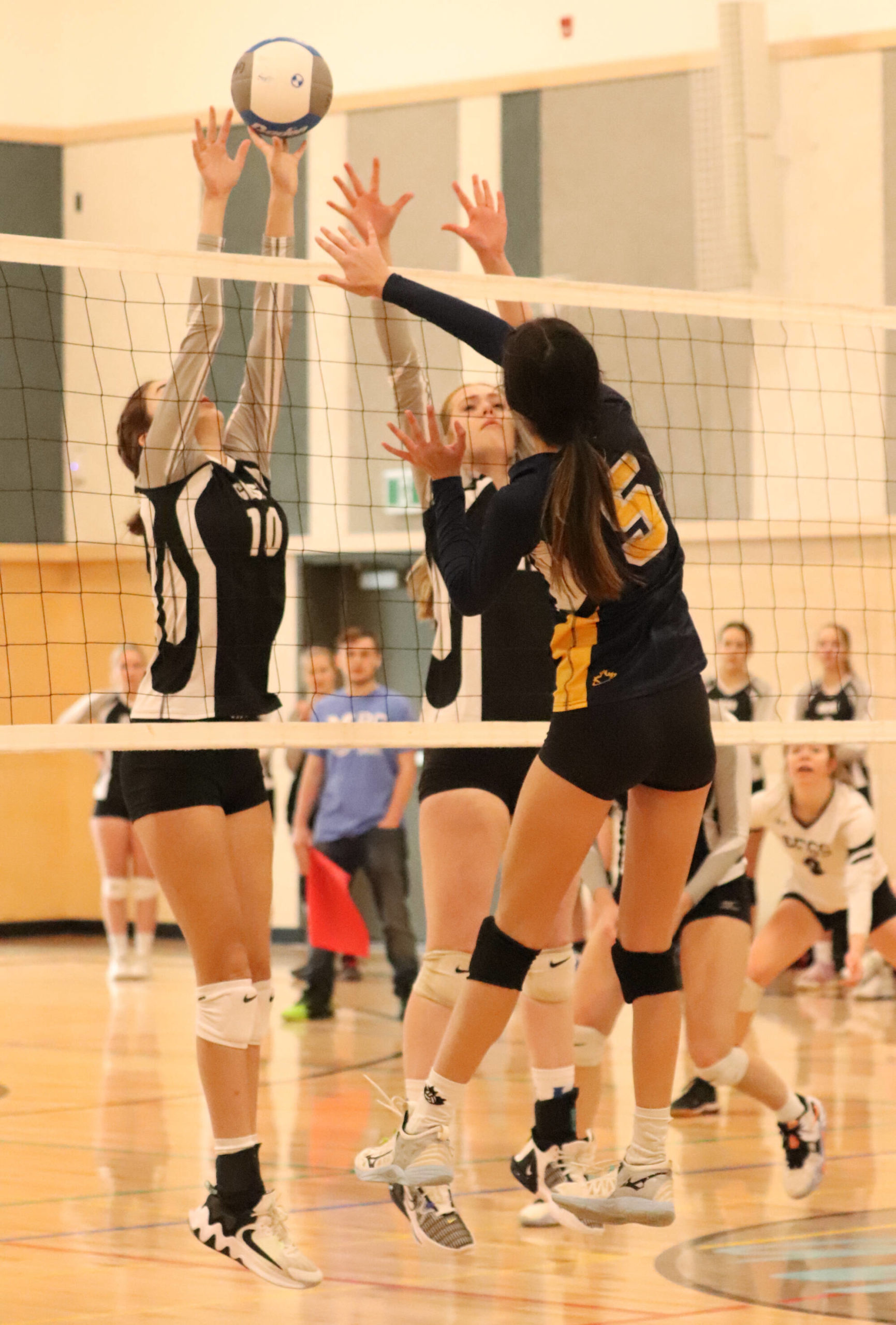 31197417_web1_221208-VMS-volleyball-provincials-coyotes_3