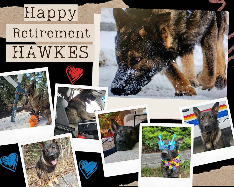 31963278_web1_230302-VMS-police-dog-retiring-2_1