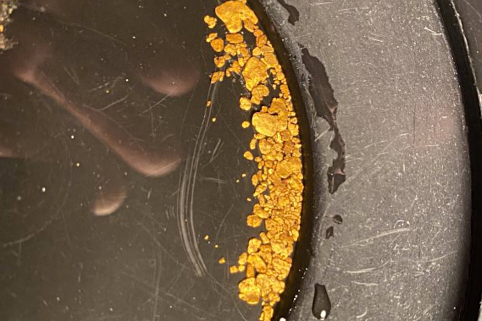32417801_web1_230419-SAA-gold-panning-course-miners_1