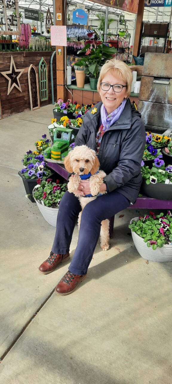 32612135_web1_230504-VMS-column-flowers-dogs-finnigan_1