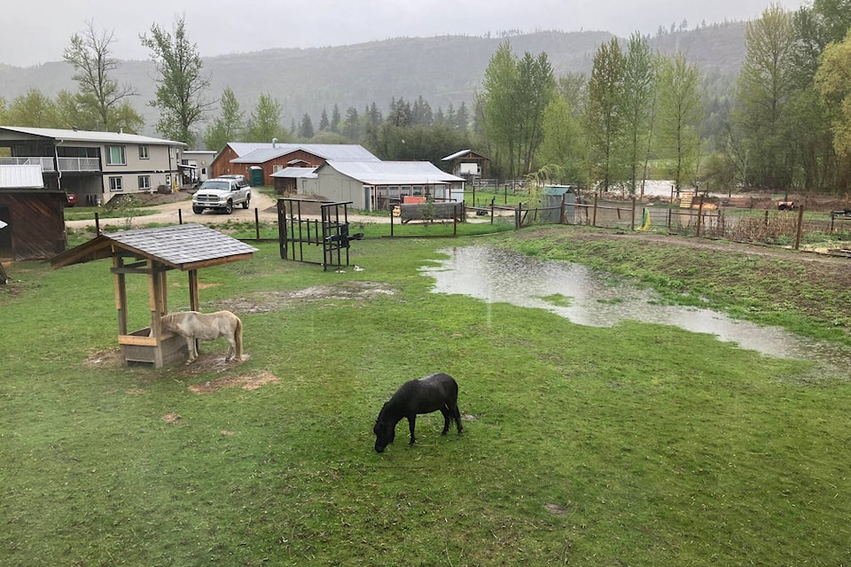 Alice and Gary Hucul’s yard in the 500 block of Salmon River Road has been flooding recently but they have done a lot of work in hopes of preventing a repeat of the devastation in 2018. (Photo contributed)