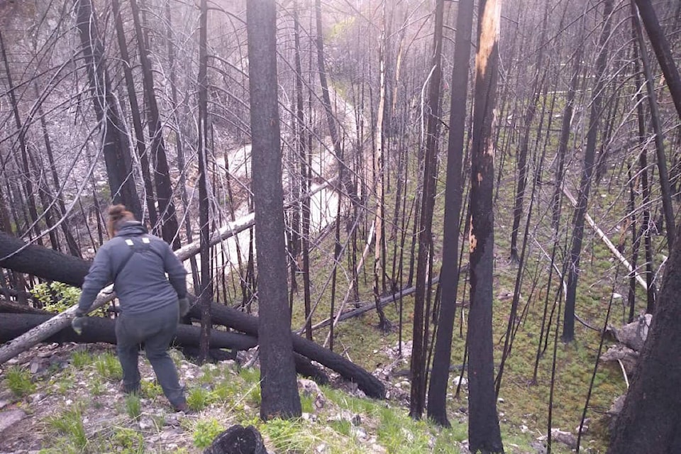 Vernon Search and Rescue crews rescued two people stranded up Whiteman Creek forest service road Thursday, May 11, 2023. (VSAR photo)