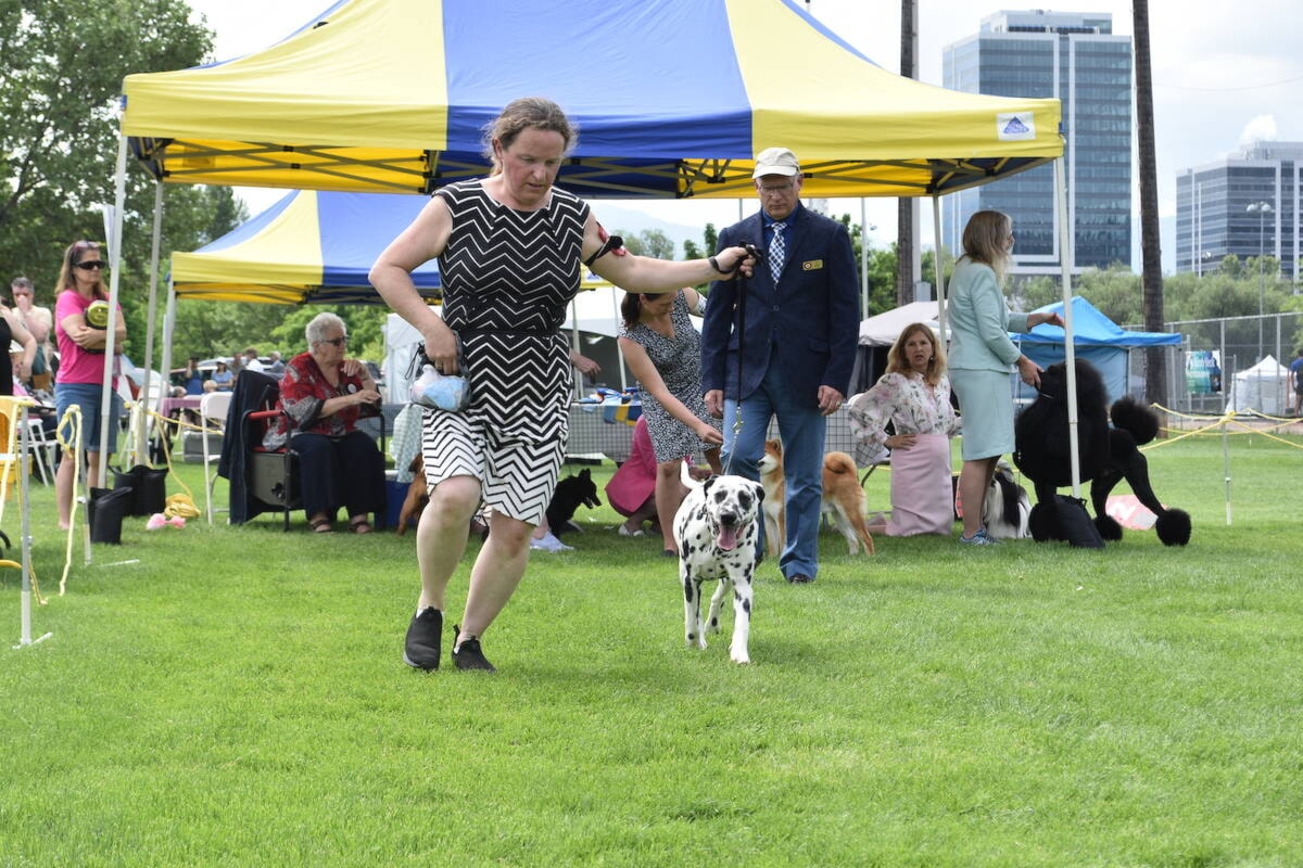 A round of apaws at the annual Kelowna Kennel Club Dog Show Vernon