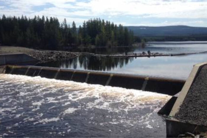 32809779_web1_230525-VMS-dam-grizzly_1