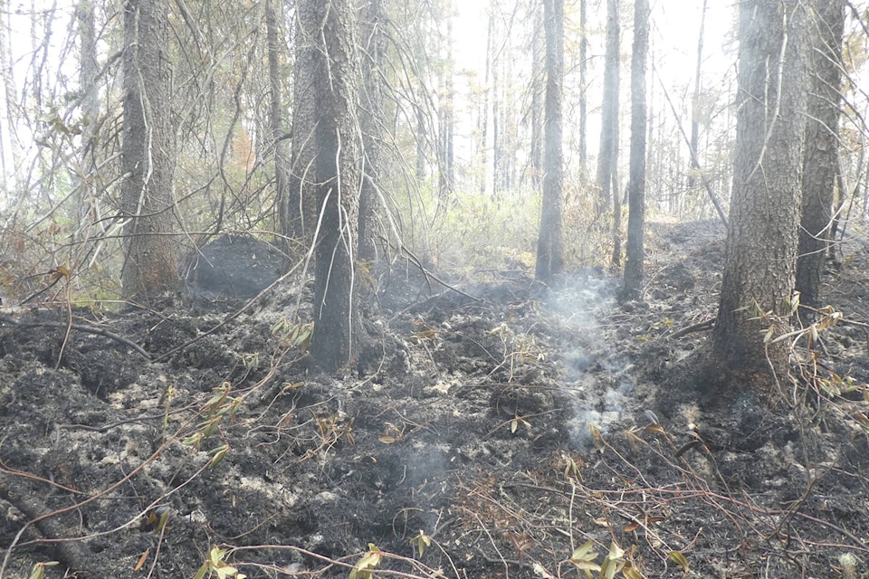 32988874_web1_230612-CPW-Wildfire-roundup-quebec_1
