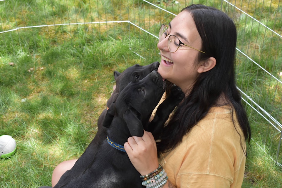 Courtney Chisholm is smothered in puppy love at Piccadilly Mall Saturday, June 17, 2023 during a Shuswap SPCA fundraiser. (Rebecca Willson-Salmon Arm Observer)