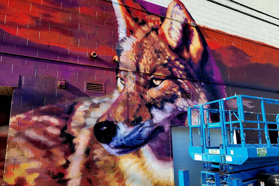 33125414_web1_230629-VMS-mural-coyote_1