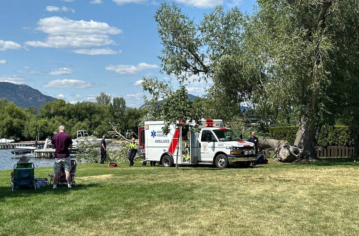 A large tree fell unexpectedly at Kinsmen Park in Kelowna on July 3. (Brittany Webster/Capital News) A large tree fell unexpectedly at Kinsmen Park in Kelowna on July 3. (Brittany Webster/Capital News) A large tree fell unexpectedly at Kinsmen Park in Kelowna on July 3. (Brittany Webster/Capital News)