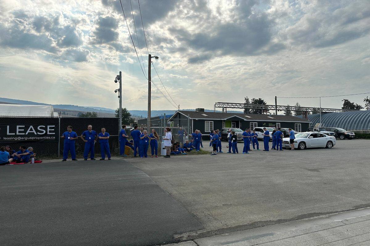 Employees of The Flowr Group. (Jordy Cunningham/ Capital News)