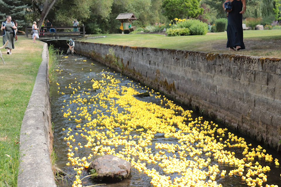33316327_web1_230720-VMS-duck-race-1_2