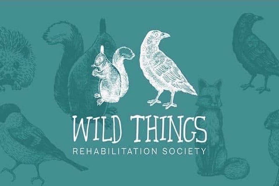 33564534_web1_230323-KCN-wildthings-fundraiser-wildthings_1