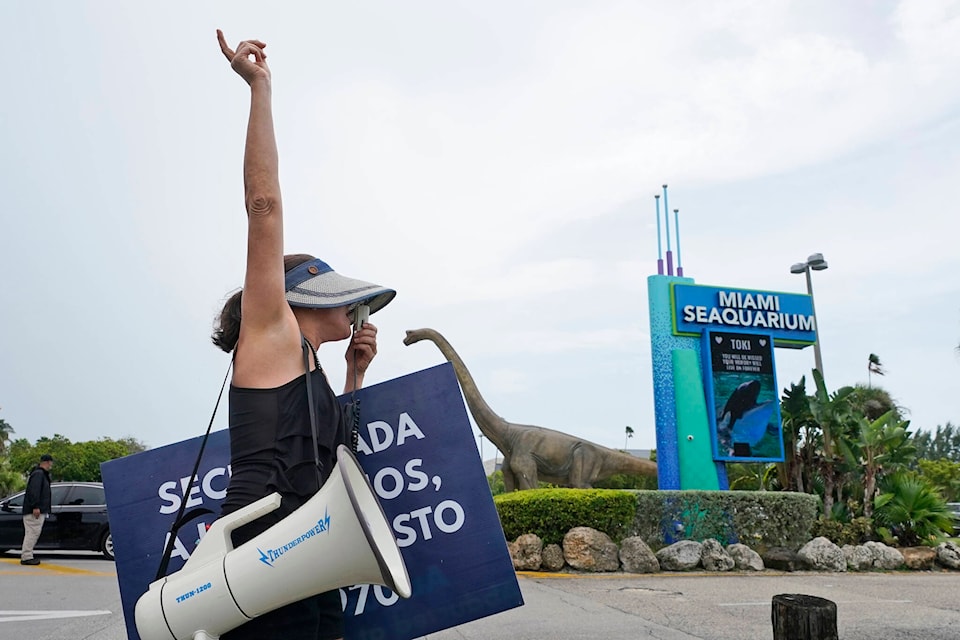 33658232_web1_230821-BC-ENV-ORCA-DEATH-Lolita_1