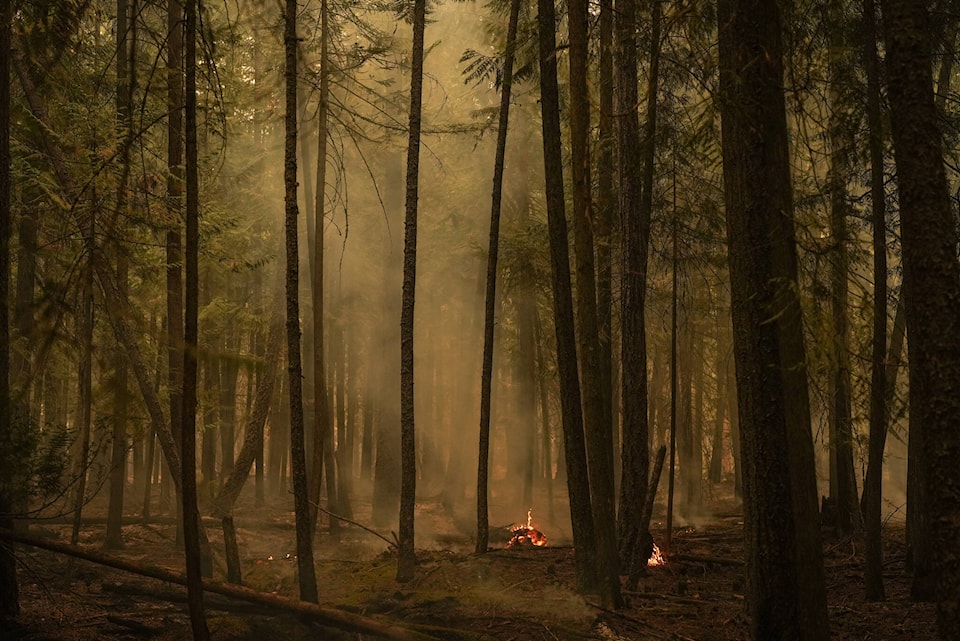 33728283_web1_230828-CPW-Heat-warnings-BC-wildfires-fires_1