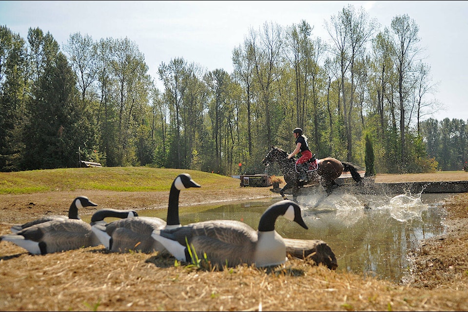 Decoy geese sit by a water jump as Cordelia Mansfield of Vancouver rides Rose in the cross-country competition during the Island 22 Horse Trials and B.C. Championships in Chilliwack on Saturday, Sept. 2, 2023. (Jenna Hauck/ Chilliwack Progress)