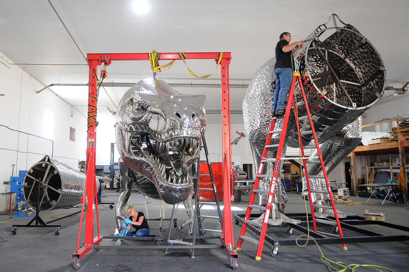 Kevin Stone and wife Michelle were putting the finishing touches on a 17,000-pound, stainless-steel T. rex on Thursday, Sept. 14, 2023, just days before it was to be shipped from Chilliwack to Penticton. Here it is seen in three pieces (from left) the tail, head/chest, and belly/legs. (Jenna Hauck/ Chilliwack Progress)