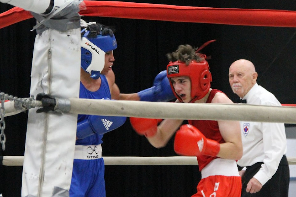 's Dante Ortiz of the Los Gatos Locos club (blue) lands a left jab against opponent Oliver McLuskie of Marshall Boxing Club from St. Albert, Alta., with referee Clarke MacLelland keeping a close eye on the match. The main event of the third annual Ian Gibson Tribute Boxing Show, held Saturday, Sept. 21, at the Vernon Rec Centre, was the Youth Open 132-pound clash with McLuskie scoring a unanimous decision.