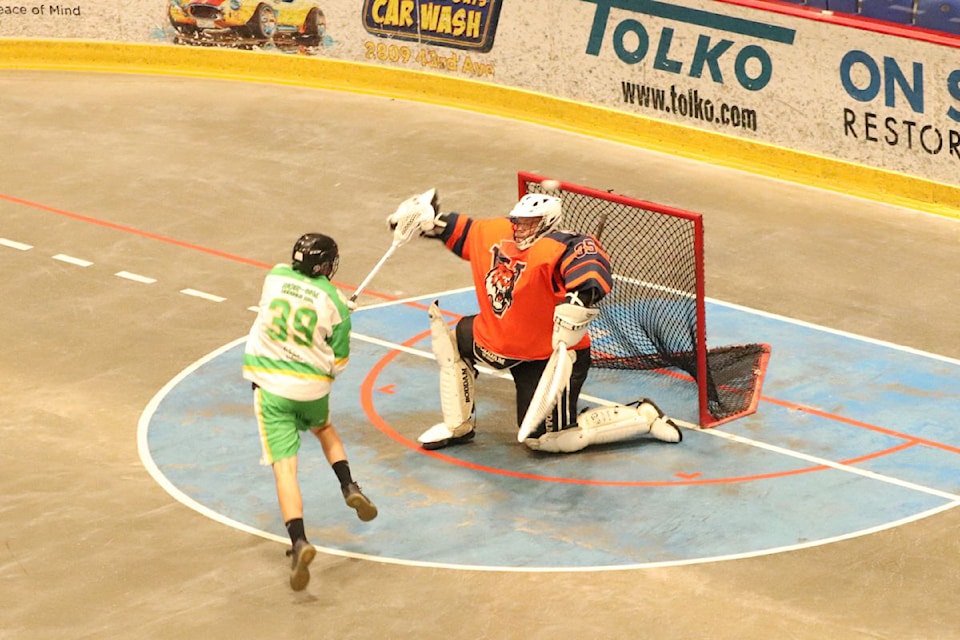 Armstrong Shamrocks forward Joel Castle (39) puts a shot off the top of Vernon Tigers goalie Derek Pereboom's head on a breakaway in Thompsoin Okanagan Senior Lacrosse League action Friday, May 30, at Kal Tire Place. The Shamrocks spoiled the Tigers' home opener with a 10-6 victory.
