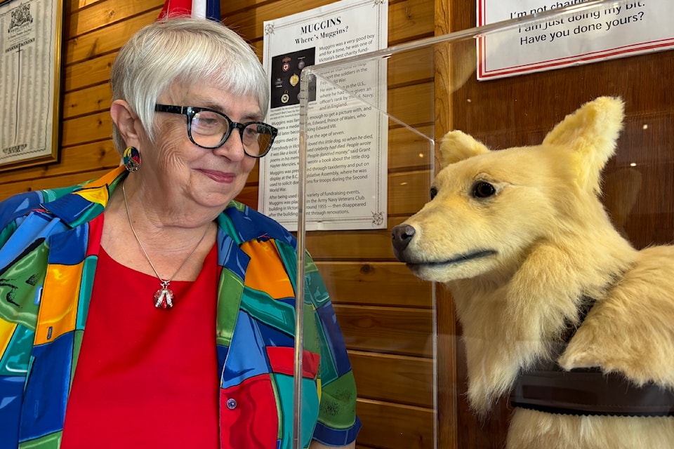 Alice Ross, Trafalgar/Pro Patria Legion's membership and honours and awards chair, stands next to Muggins. 