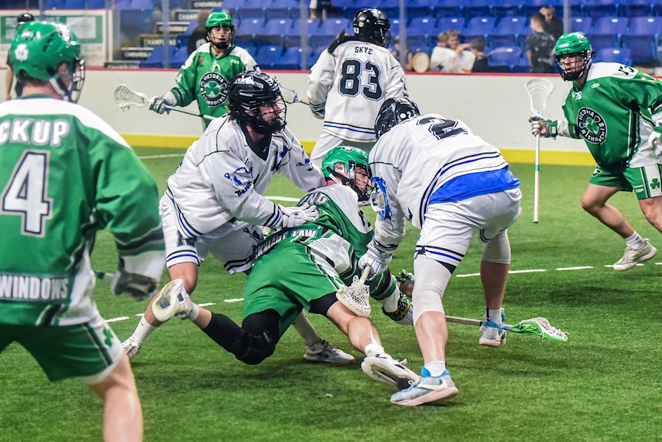 shamrocks-2-0