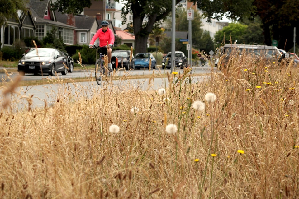 The demographics of James Bay and Sidney are more vulnerable to extreme heat, according to a report. 