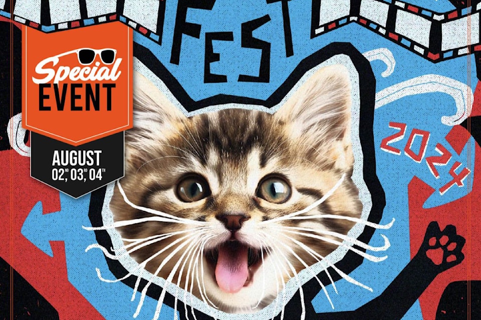 cat-video-fest-victoriafilmfest