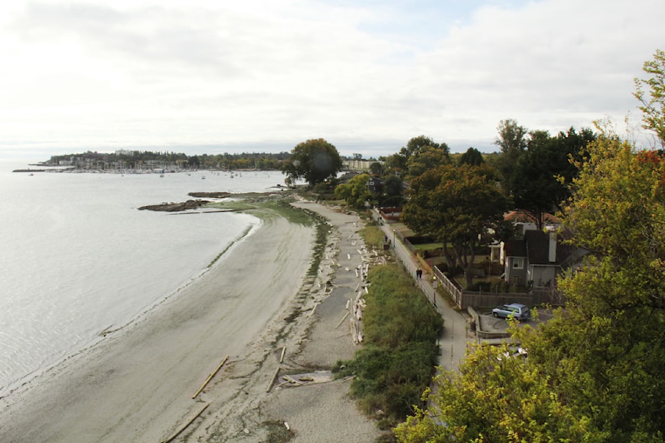 willowsaerial