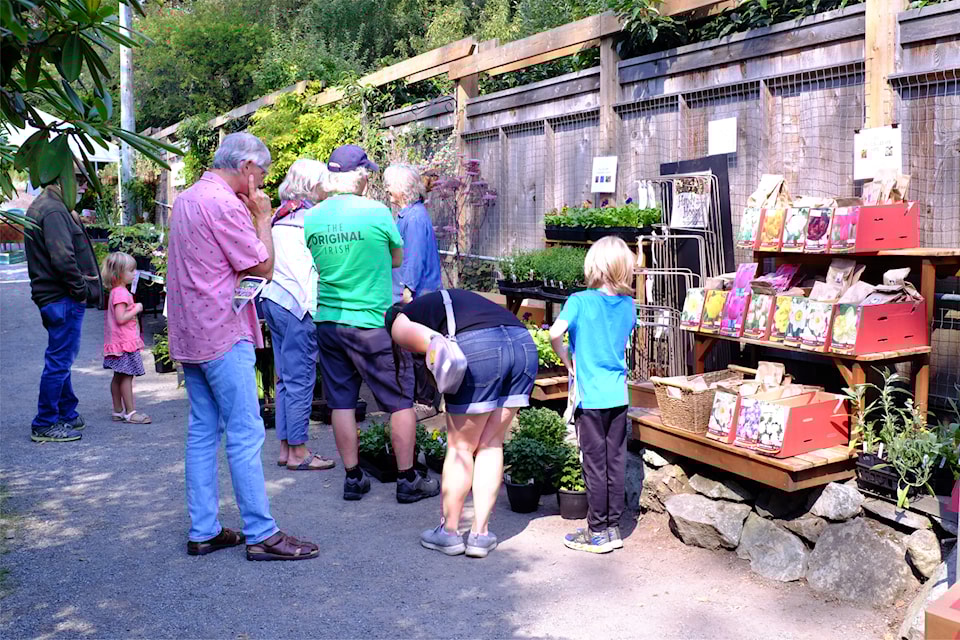 Dozens of people strolled through Victoria's Abkhazi Garden during a fall plant sale on Sunday, Sept. 8, 2024.