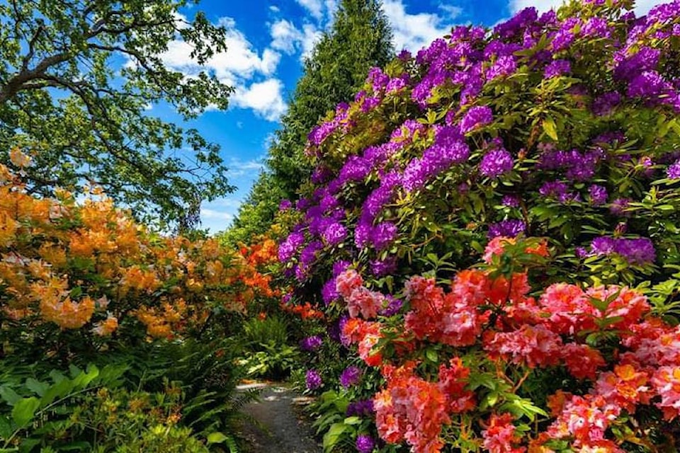 240918abkhazi-garden-victoria
