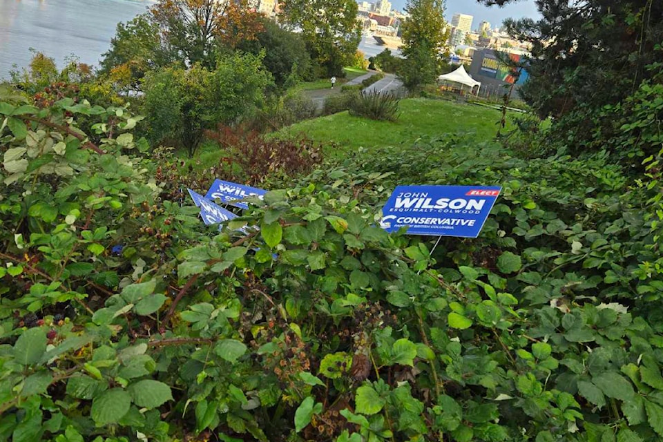 Several of B.C. Conservative candidate John Wilson's election signs in Vic West were removed and vandalized on Sept. 24.