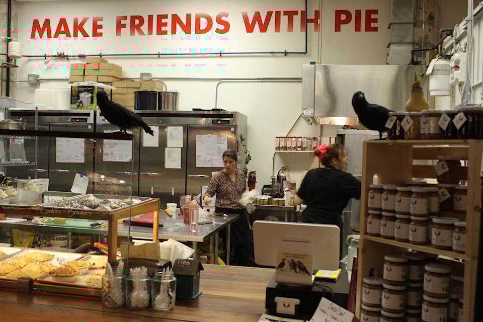 Two Crows Craft Food's Victoria Pie Shop getting ready to open on their first anniversary.