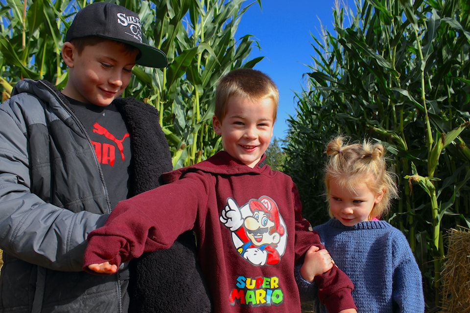 The corn maze was designed by the Fox kids (L-R) Paxton, Colton and Everly.