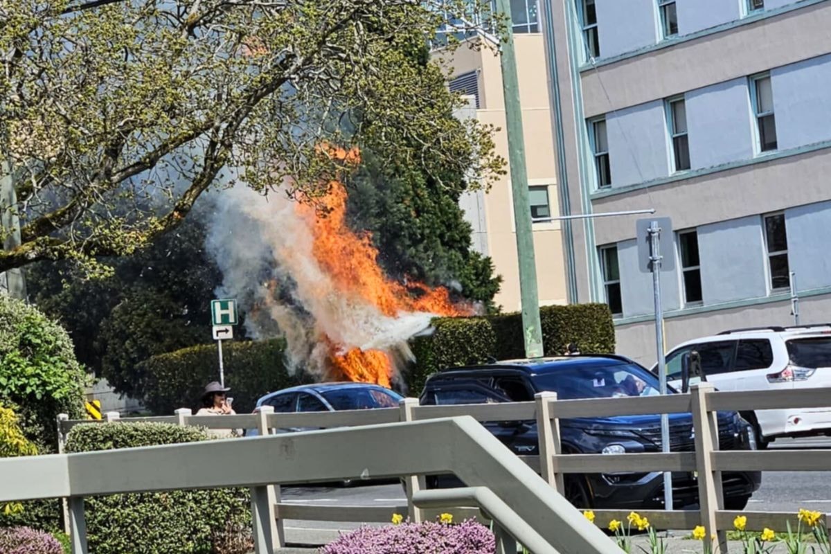 Emergency crews respond to bush fire outside Victoria's Royal Jubilee Hospital
