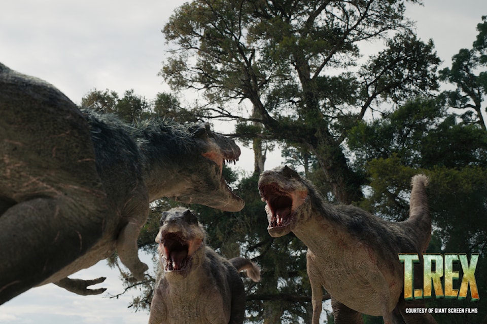 teen-rex-pack-fight-over-a-meal