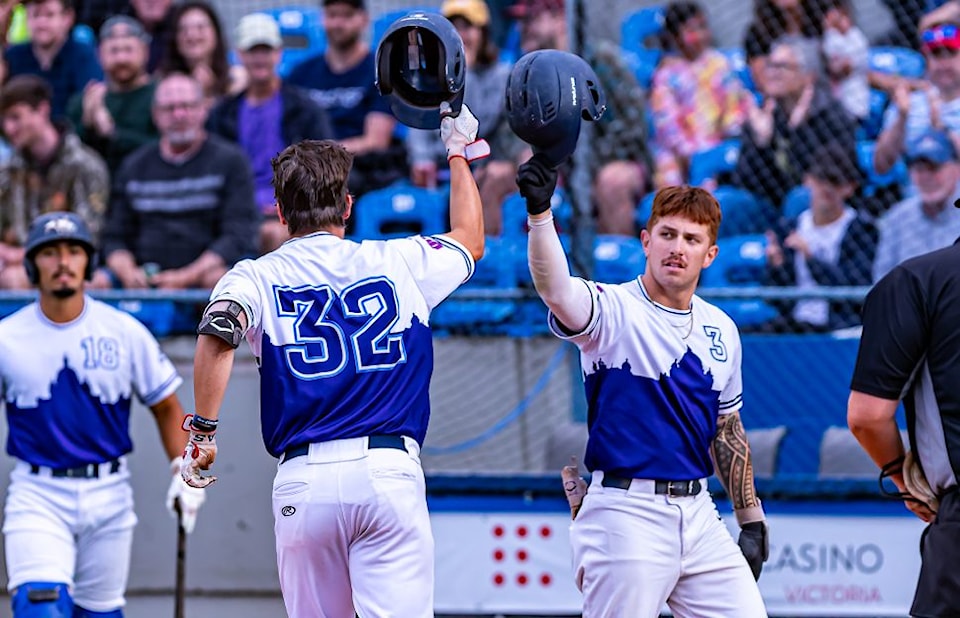 250807-vne-harbourcats1